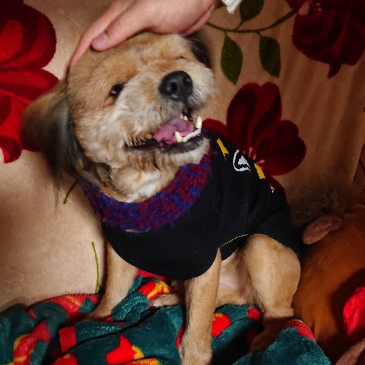 De3e5c21 8fce 4fd2 9379 2a8b50d1af51 1545486631813