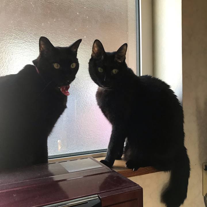 De3e62a5 f4f2 4235 a6f9 8246d448eb67 1545891427476