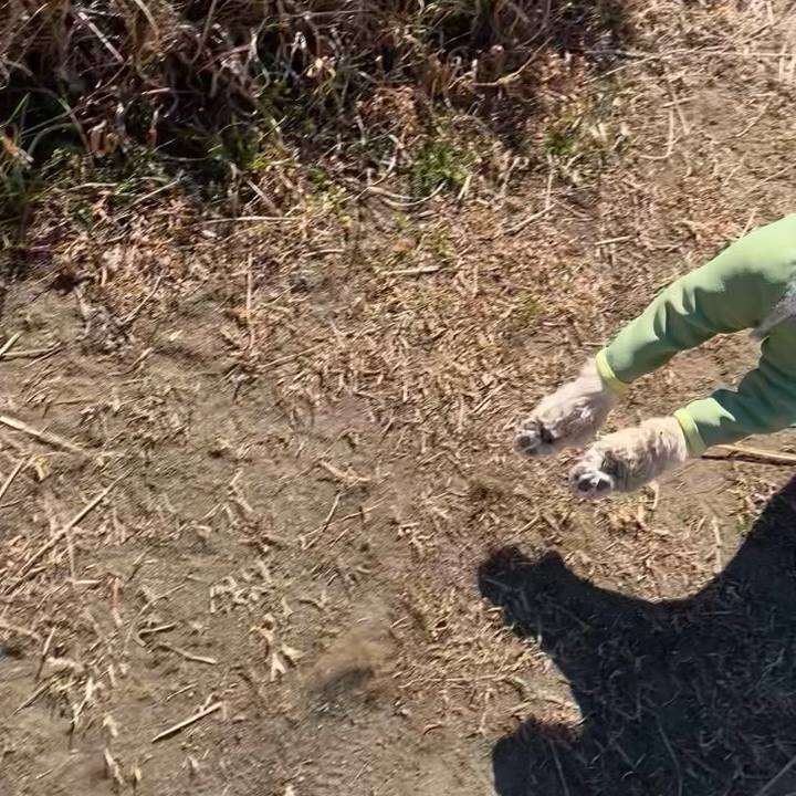 De3e9b01 345c 4de2 ba61 457b7ffa5cf4 1739344730282