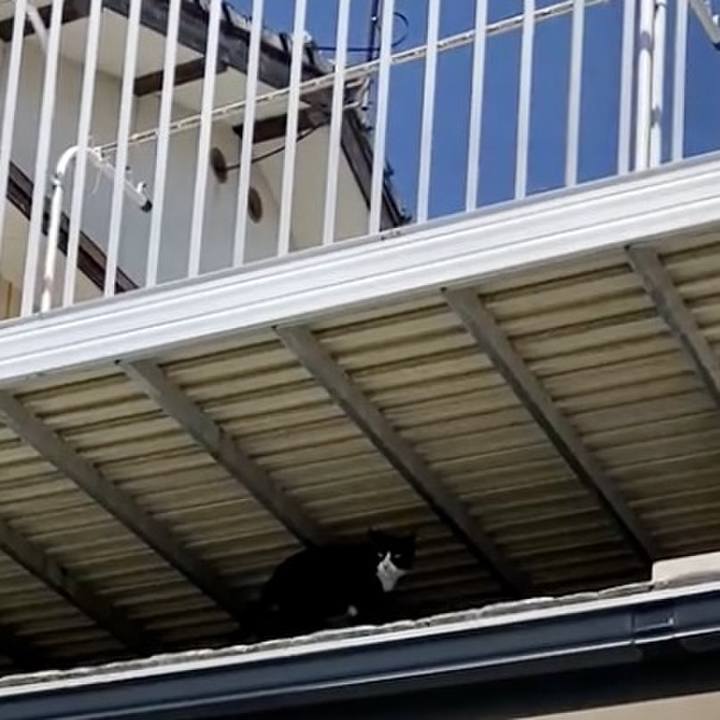 De3ea3d3 a843 4443 8405 25724e84bb3b 1741308624985