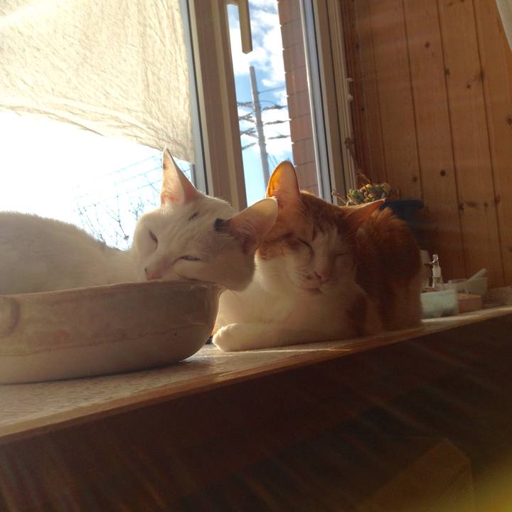 De3ec30a 532d 46b3 bb56 220e003998f2 1513991068486