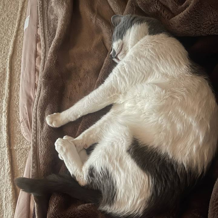 De3f39d7 784b 4dbd 84d3 5387caed236e 1646780916266