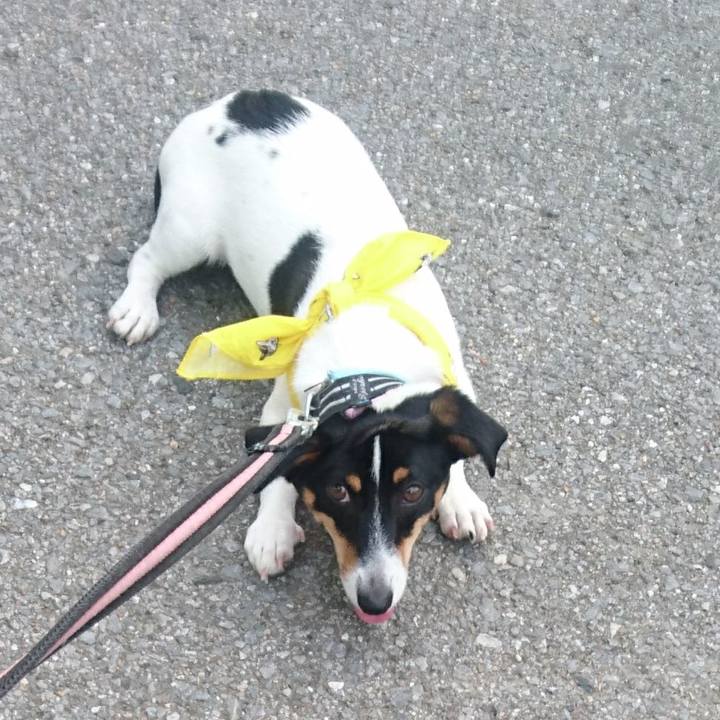 De3f407f 520d 4b92 80fb 78262de3242b 1532304421835