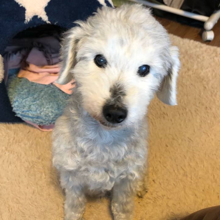 De3f51b4 7310 4296 8865 69fcf0631b42 1647907926929