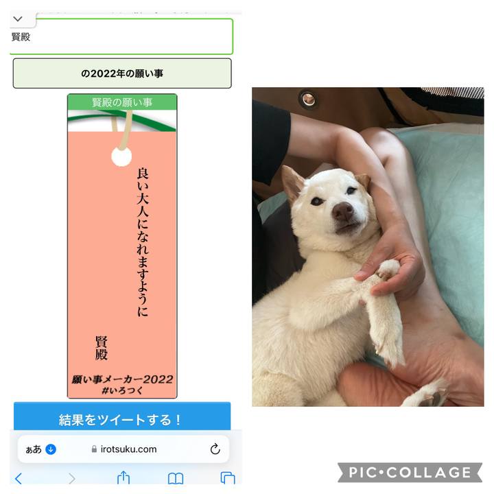 De3f63d9 2c7a 45e5 b96f 2dcde7ef6c42 1657201683073