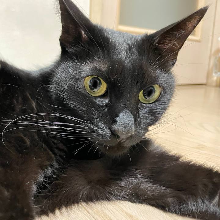 De3f9b9c 42cd 4238 81c8 fe7623f82855 1650112049917