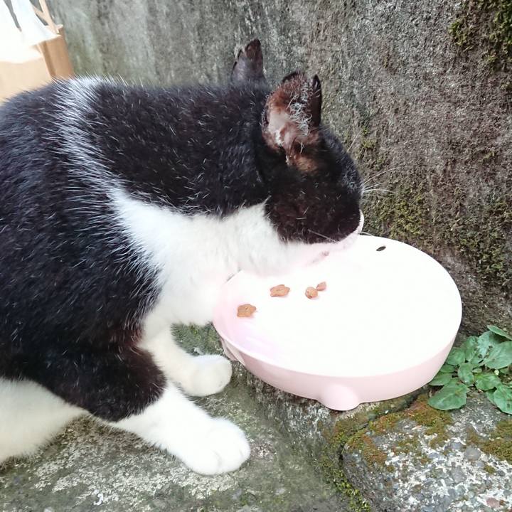 De3fb7b4 90d5 4880 b0eb 08de6d763313 1692701496513