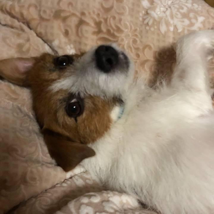 De3fb8d5 96fe 4f10 96a0 b79bfcd2db89 1515850266582