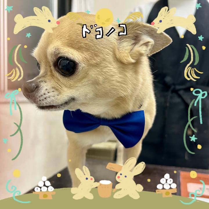 De400db9 122c 4c7b 91a7 1a14d3071abe 1726987177680