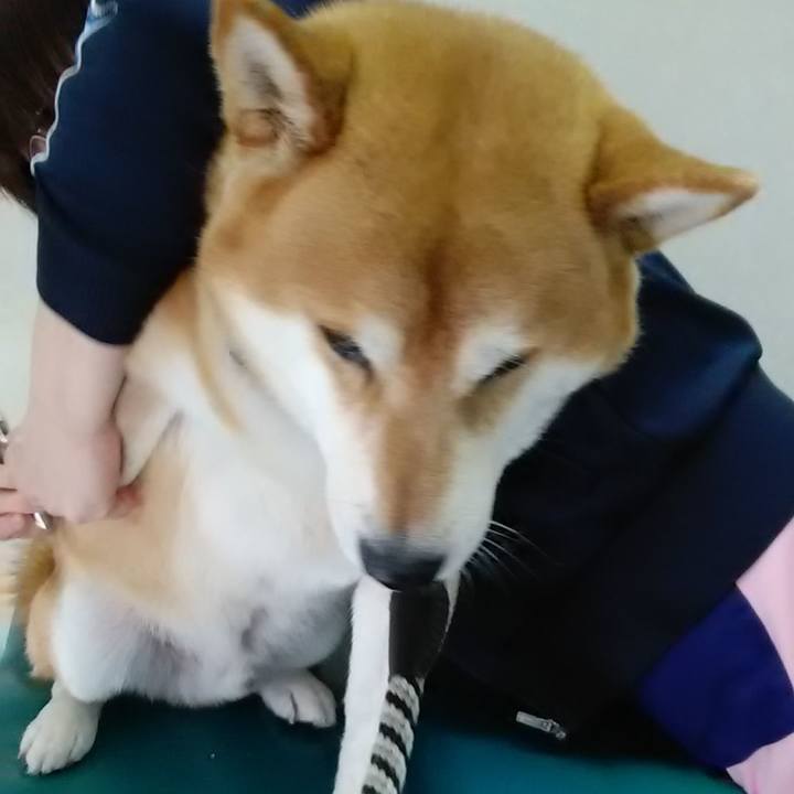 De402fa3 9e9e 4107 bb02 5b336cf7ed0f 1584953459698