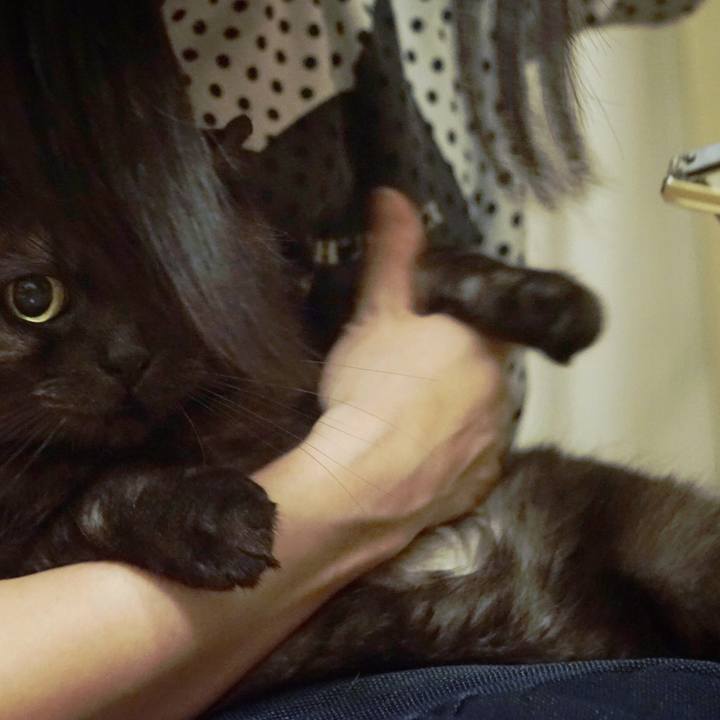 De40659e c93e 4e23 85ed 9a1d9a5f2ca8 1562256719448