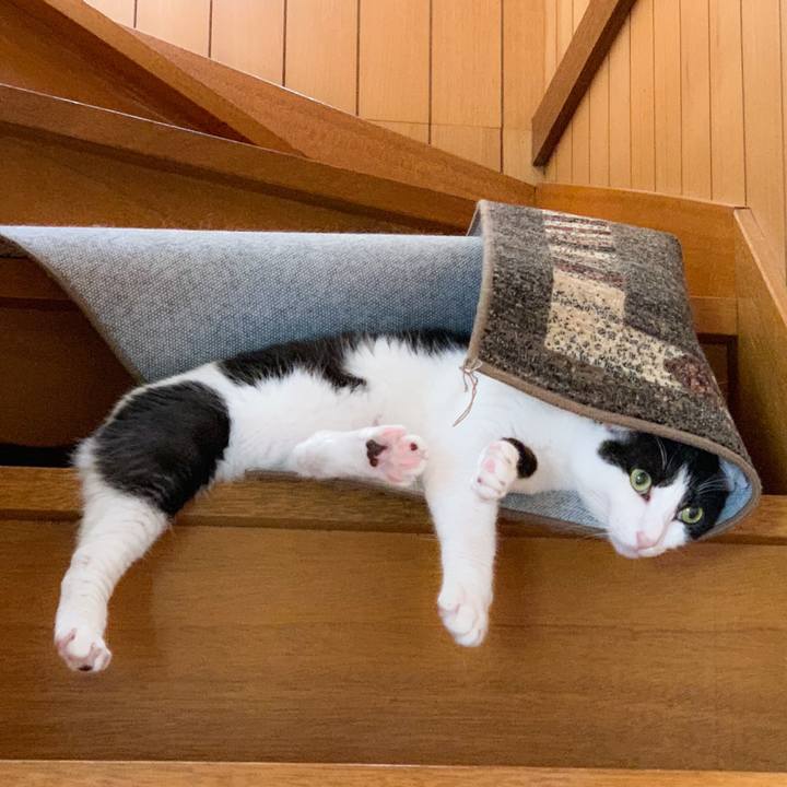 De40696b e3f0 4518 9dfc 612cd8e24e95 1568944511578