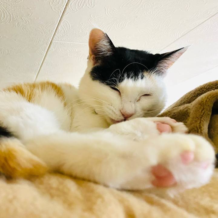 De4079d0 9755 40a4 8076 c8c114e132c5 1674994820562