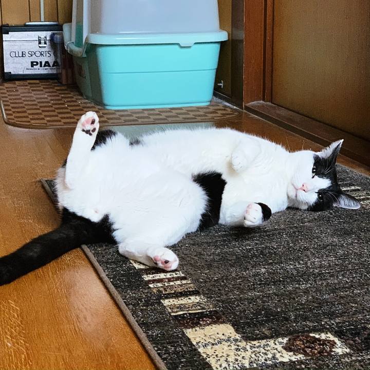 De40c4fe 1cd7 4e85 91c6 ad4b64fbe757 1555037859740