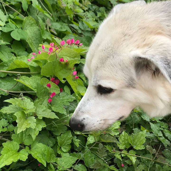 De40e866 7ce2 461d 8be1 557c42f2a022 1580801700930