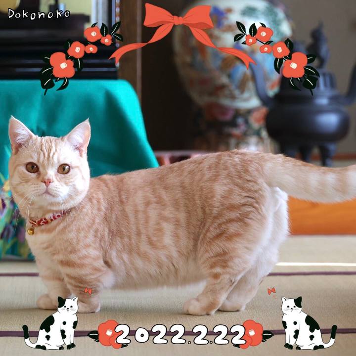 De41059d 3a97 4244 a9b0 8557006b506e 1645565949674