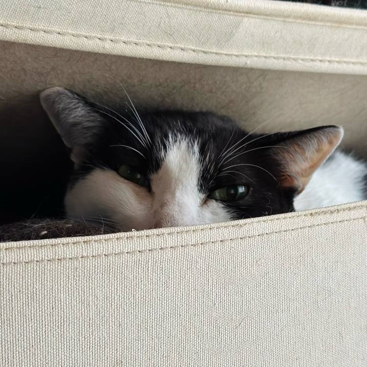 De411f46 1a80 4486 bf6f 329fba38f993 1666749777626