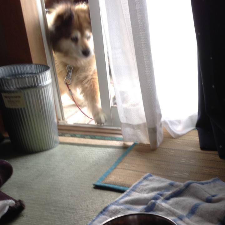 De4125f2 604b 407d 954d 06470121e607 1618468379137