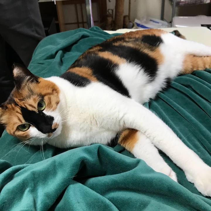 De412c65 e0d4 4f20 8cc1 f7e63ea78660 1517659273990