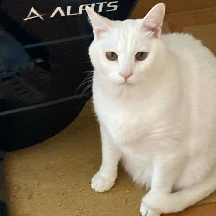 De412f59 4100 4510 90e1 085e88973305 1704687398843