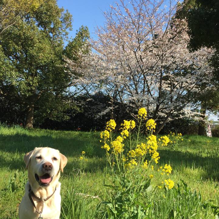 De413917 6181 4ebc 86e3 9ee5020300d3 1554370033529