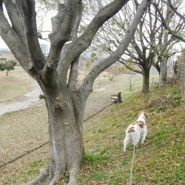 De415ab7 0c07 49f0 915d 9e302783fdb7 1545380491135