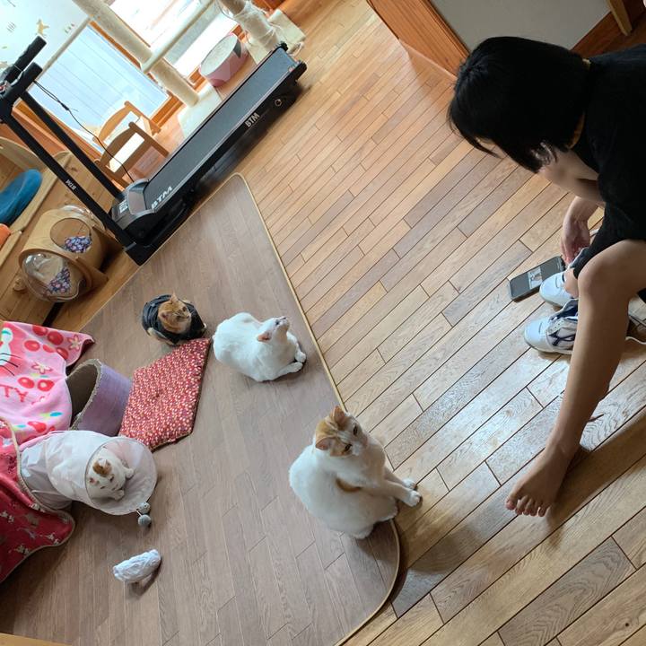 De415c65 a22b 45dd b945 0f1759aedd6a 1647760922779