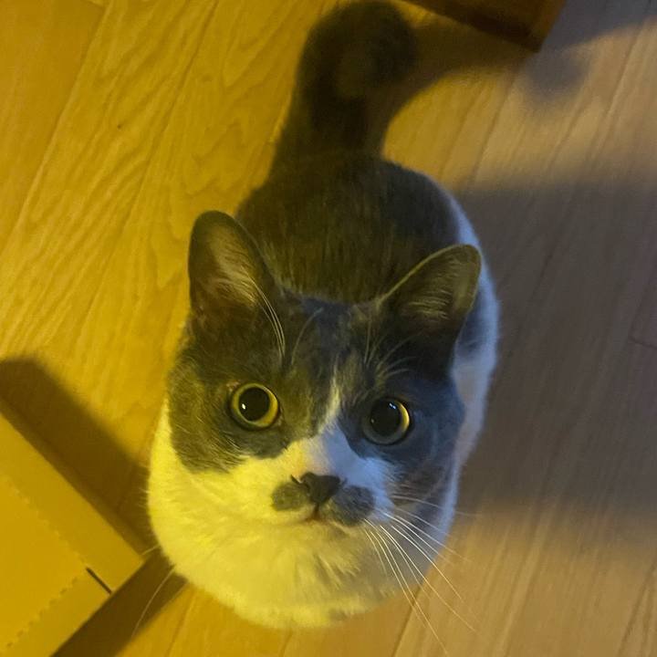 De416382 8b72 41d8 bd9c 4da1cc6b42e2 1750721094267