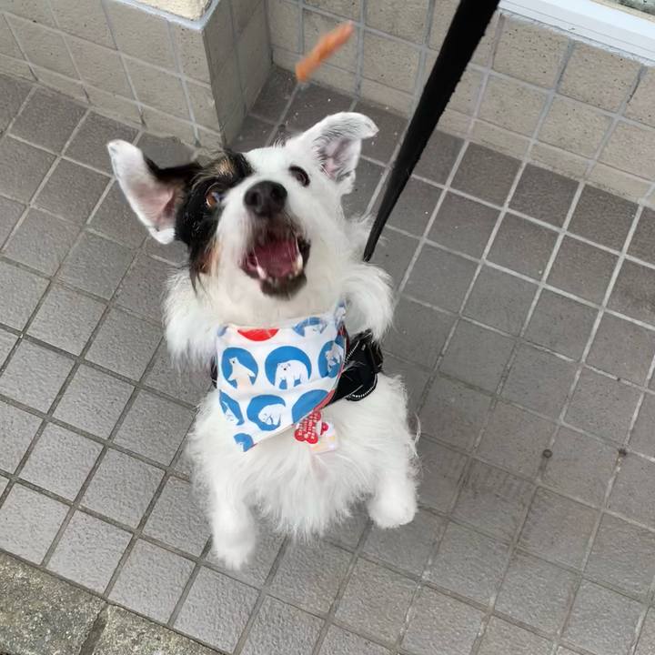 De417c15 5d7d 415f a4a7 65e56cc320b6 1687595040412