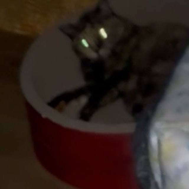 De4181fc ce55 4961 b588 7dd817f4a0fa 1755288263615