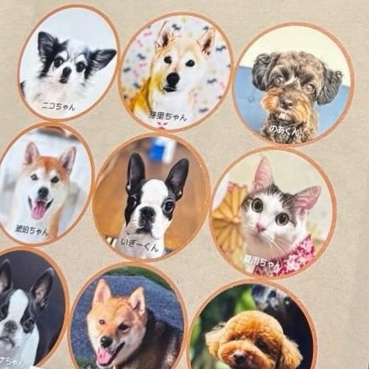 De41a2a0 51ad 48da 95dc d1985c0b5d04 1768643533437