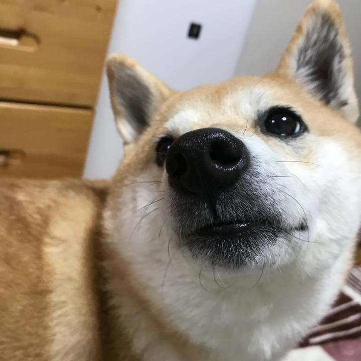 De41b5a2 70df 415a b351 ab7bd68e8fb4 1514435837235