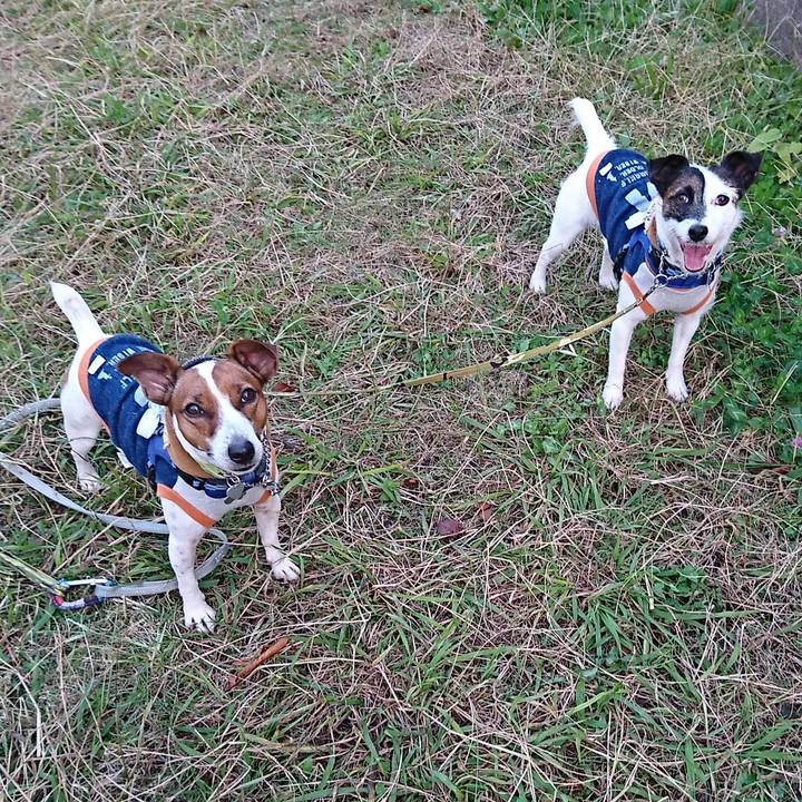 De41ba00 3892 48a8 89a6 26dc7a9d0290 1573769188303