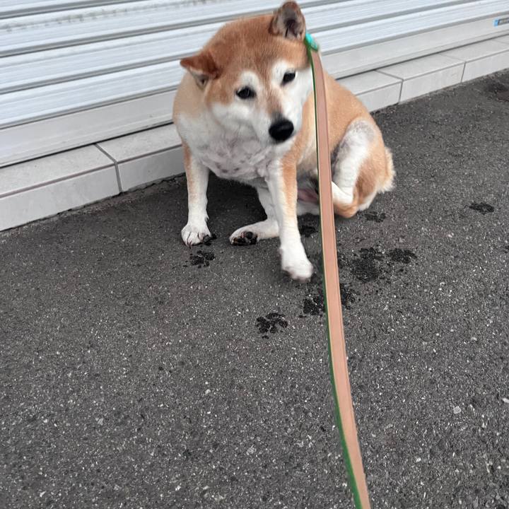 De41d015 7749 4b72 90b8 741bf886a576 1719135124077