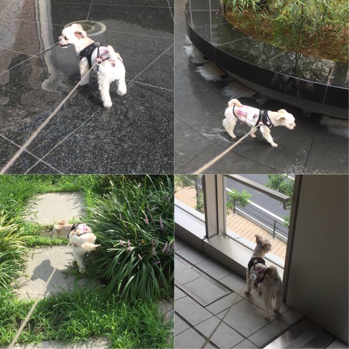 De420bce c201 41c0 8812 89eee7ae8b2d 1534121060592