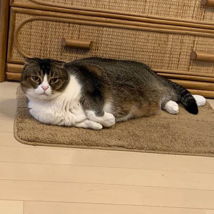 De425ed4 0941 4046 a1b2 219c4cbe7f0e 1586665914026