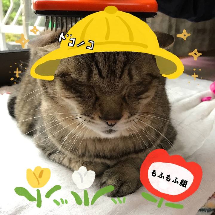 De427f7d 37e5 4644 a497 0680d555fd9d 1712315245530