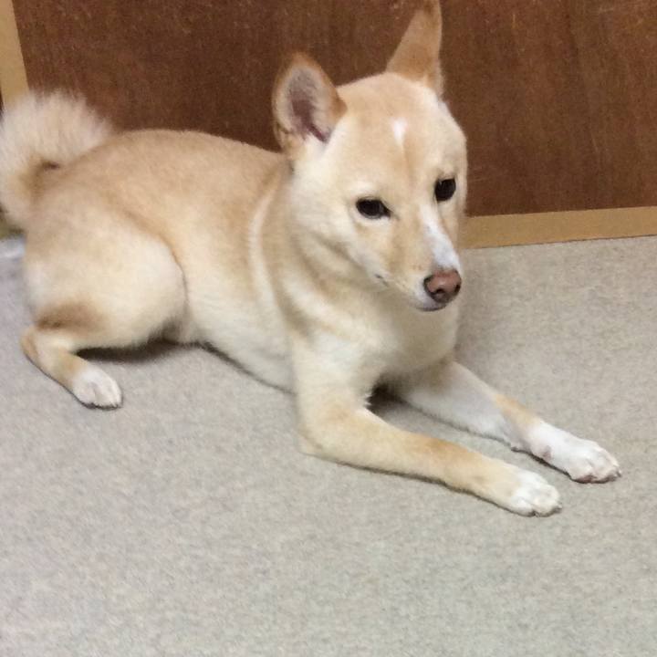 De428cbc 1e47 443a aaf7 c9bf520a32ba 1508150520735