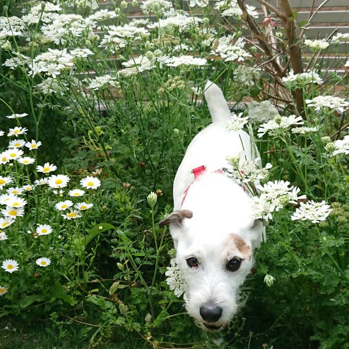 De428ec4 c314 4ac6 87ff 0aded33c1fd5 1558307771446