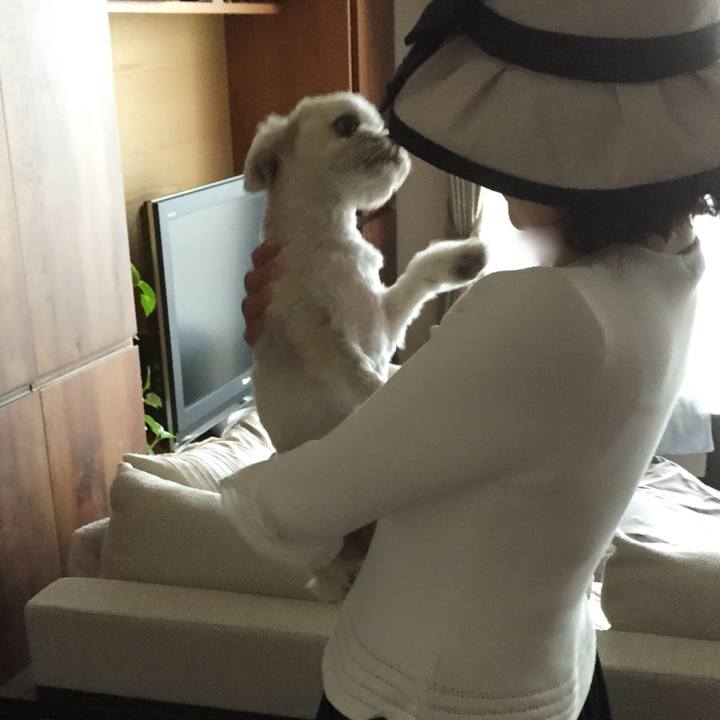 De42a871 5afe 447c 85d0 35c47481febb 1525593728979