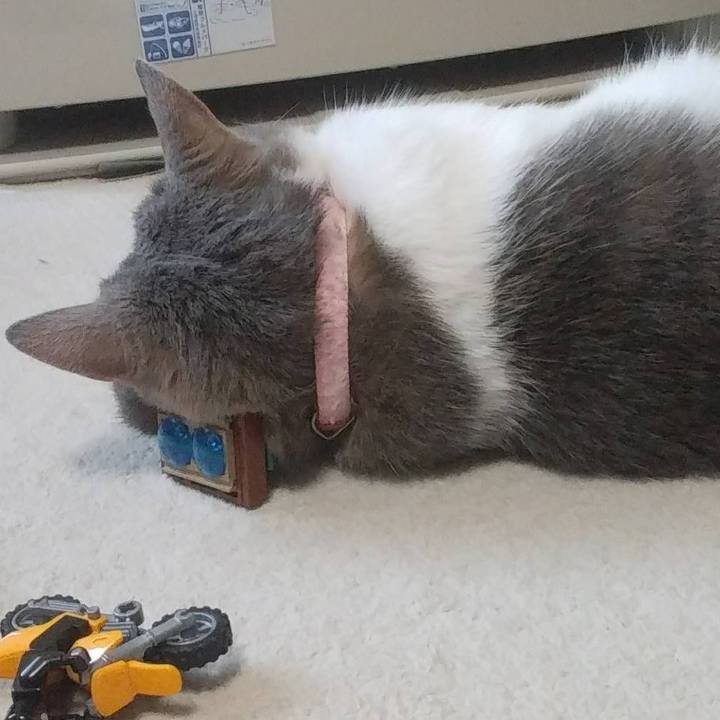 De42b4a0 6885 4fe4 9e27 78cb0ad2cd6e 1589456041726