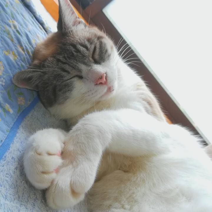 De42c39f ad0e 482c 988f 006a7d499bad 1595818778642