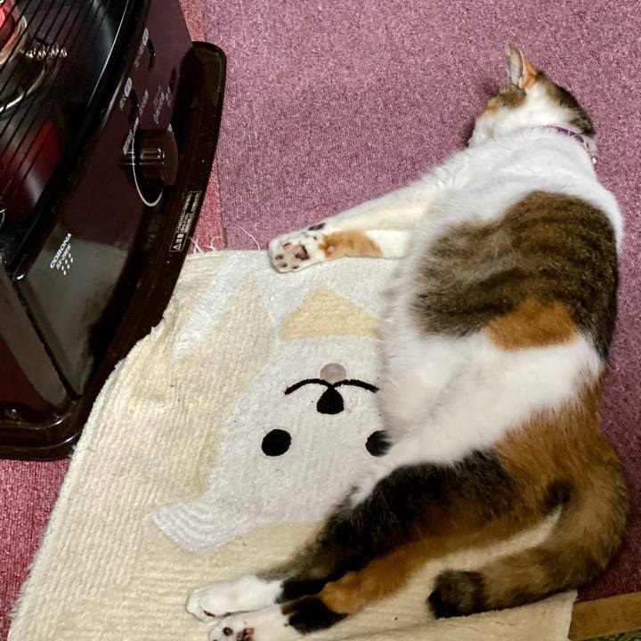 De42fd99 1478 4e45 9808 0754fcb01ce3 1603095692374