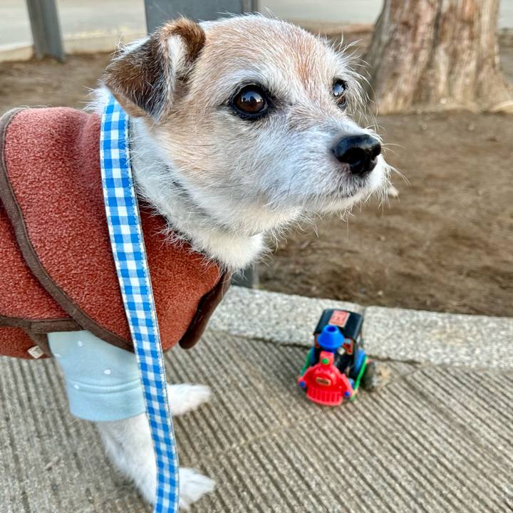 De4332d6 b980 499a bd9b 0e3adc0ed3b3 1700623848154