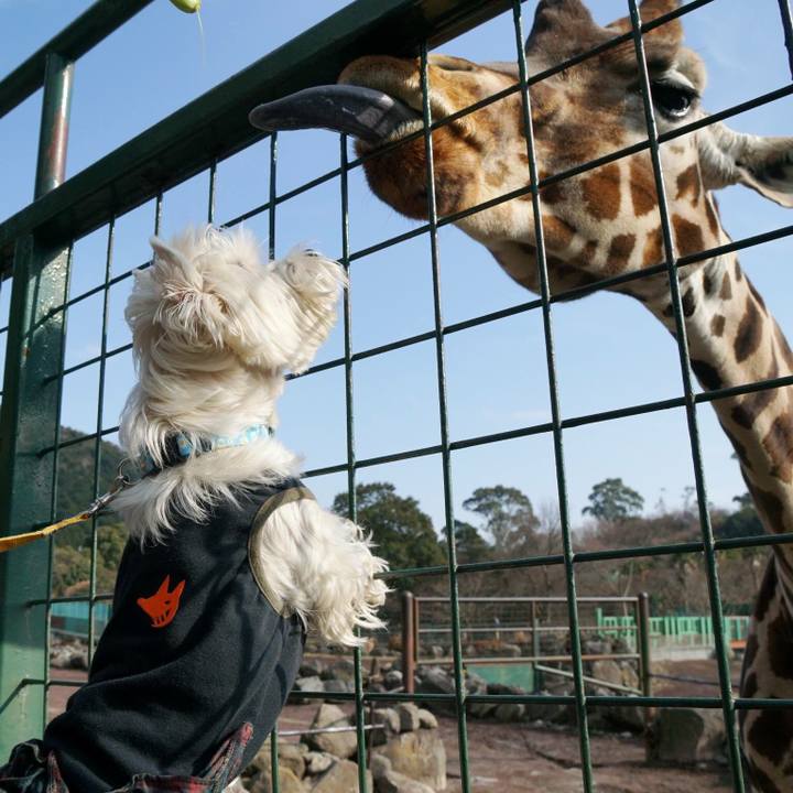 De4339b1 979f 426d 9048 5b3da7f9424b 1517194452326