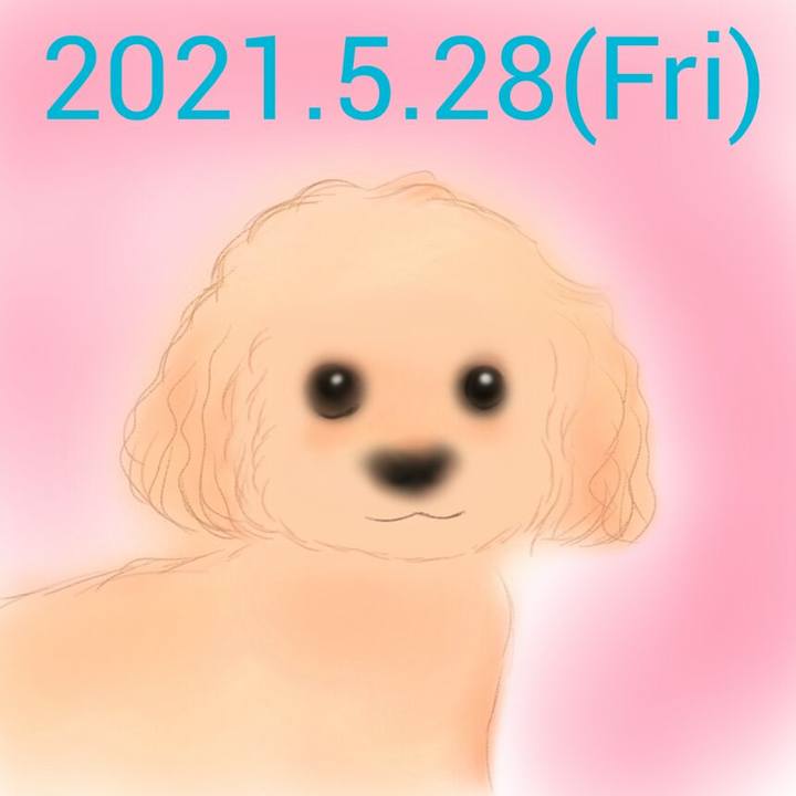 De4365d2 3af0 44b3 8ffe f559f14bfb54 1622206187385