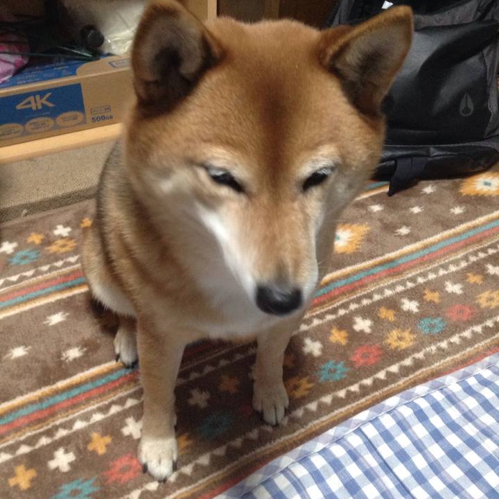 De4393f2 bb6e 4e06 92bd 4793f908733a 1547293367332