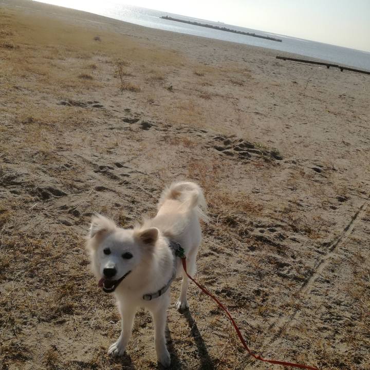 De43b8c3 60d0 4529 8151 1cf6bd85d4af 1514023969582