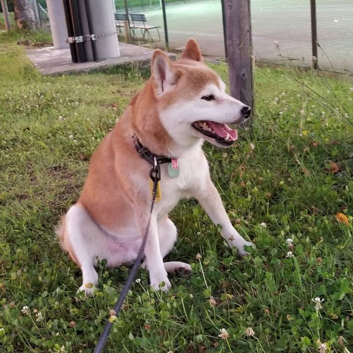 De43c609 c125 4122 b168 594b9e1e41e8 1597830323985