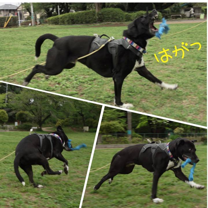 De43e765 af05 47fe a90c f279efe34c56 1650244602248